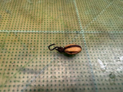 IMG_2339.jpeg