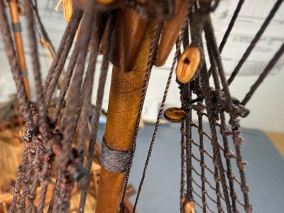 IMG_2481.jpeg