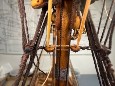 IMG_2482.jpeg