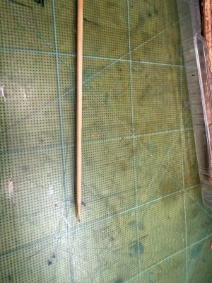 IMG_2572.jpeg