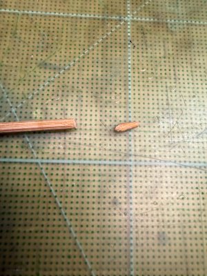 IMG_2573.jpeg