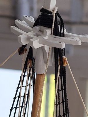 20260521_121648.jpg