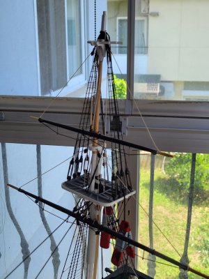 20260521_121447.jpg