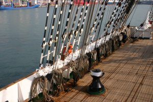 STS SEDOV 080.jpg