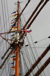 STS SEDOV 116.jpg