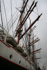 STS SEDOV 135.jpg