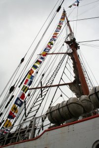 STS SEDOV 136.jpg