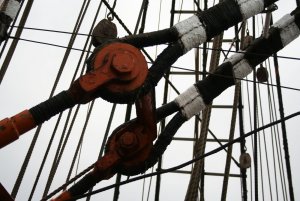 STS SEDOV 147.jpg