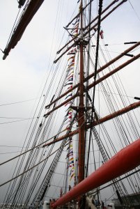 STS SEDOV 151.jpg