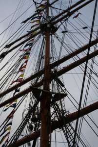 STS SEDOV 177.jpg