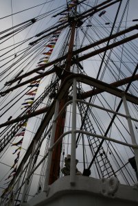 STS SEDOV 178.jpg