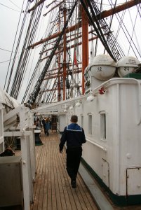 STS SEDOV 193.jpg