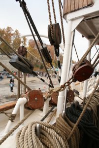 STS SEDOV 197.jpg