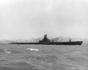 USS_Wahoo_SS-238.jpg