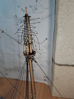 20260525_005.jpg
