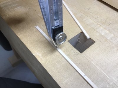 IMG_1003.jpeg