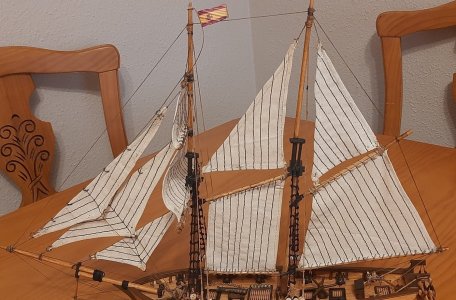 20260526_091141.jpg