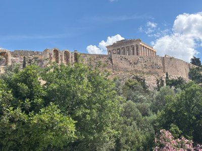 IMG_0655.jpeg IMG_0655.jpeg