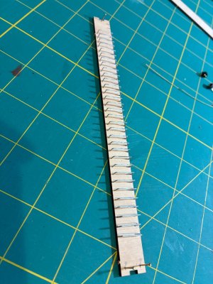 IMG_1393.jpg IMG_1393.jpg