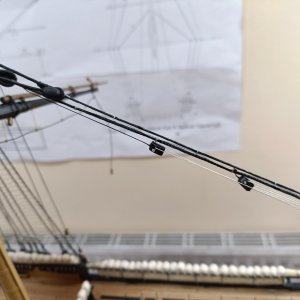 IMG20260609144609.jpg