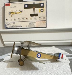 IMG_3050.jpeg