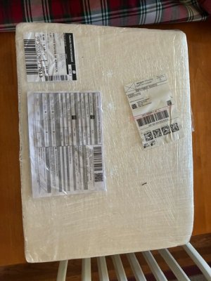 IMG_0024.jpeg