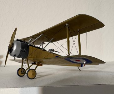 IMG_3082.jpeg