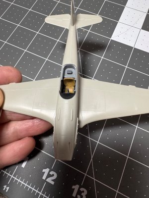 IMG_3100.jpeg