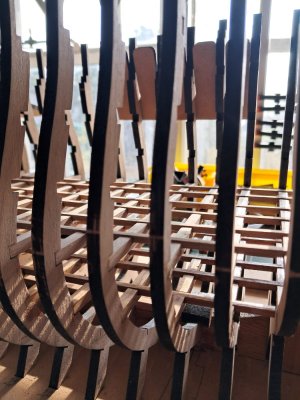 orlop and lower gun deck close up.jpg orlop and lower gun deck close up.jpg