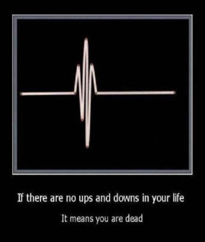 1781901285279.png