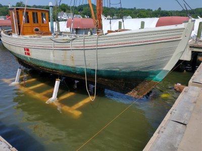 1 (183).jpg 1 (183).jpg