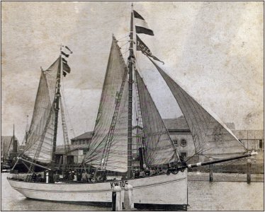 1136 Bezaan.jpg