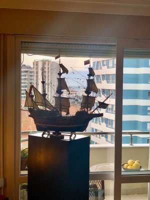 IMG_5655.jpeg