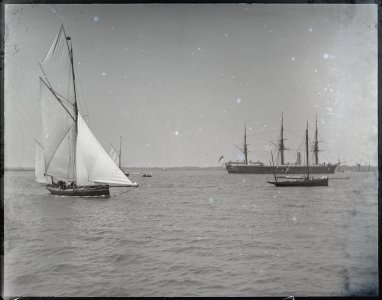 n19195.jpg