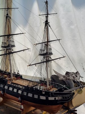 20260630_114435.jpg