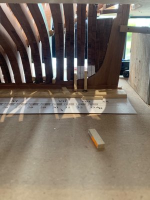 IMG_4878.jpeg IMG_4878.jpeg