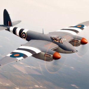 Mosquito_10_1000X1000.jpg