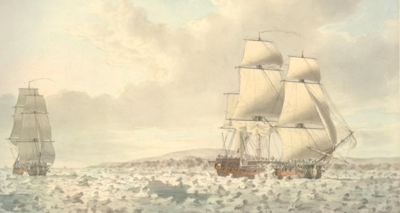 каркас в августе 1773 1.jpg каркас в августе 1773 1.jpg