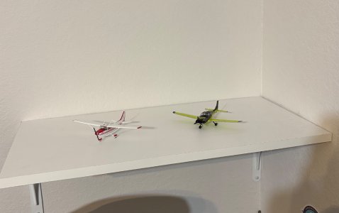 IMG_3377.jpeg IMG_3377.jpeg