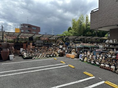 IMG_7338.jpeg