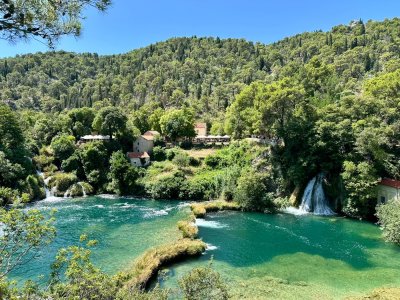 IMG_2594.JPEG