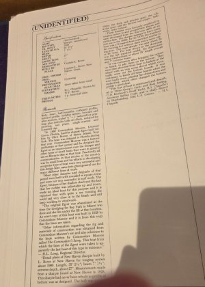 20260717_210955.jpg