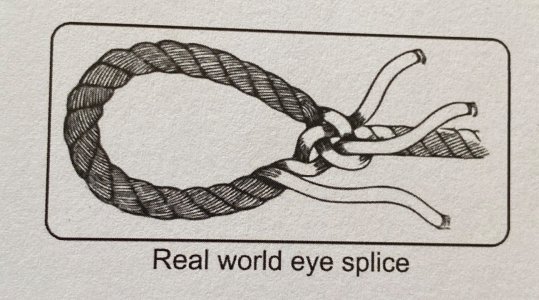 IMG_1502.jpeg