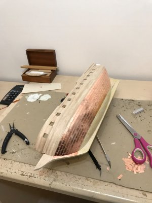 IMG_4487.jpeg