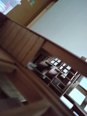 20260801_190157.jpg