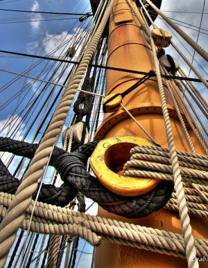 Alert Rigging 02.jpg