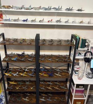 IMG_3955.jpeg