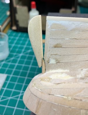 rudder # 1.jpeg