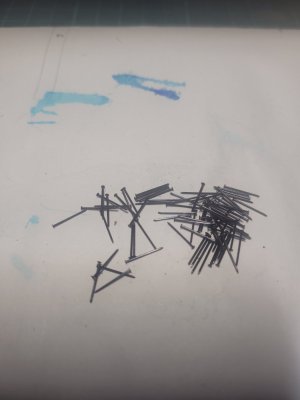 20260825_184738.jpg