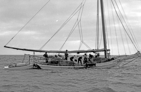 02 skipjacks-of-chesapeake-bay-6.jpg 02 skipjacks-of-chesapeake-bay-6.jpg